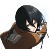 Attack On Titan Mikasa Ackerman Cropped Top Leather Jacket
