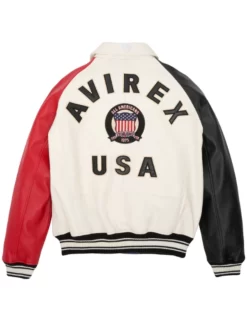 Avirex Color Block Leather Jacket Back