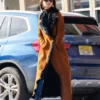 Emily Ratajkowski Street Style Premium Brown Fur Coat