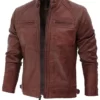 Jackson Brown Distressed Leather Top Leather Jacket
